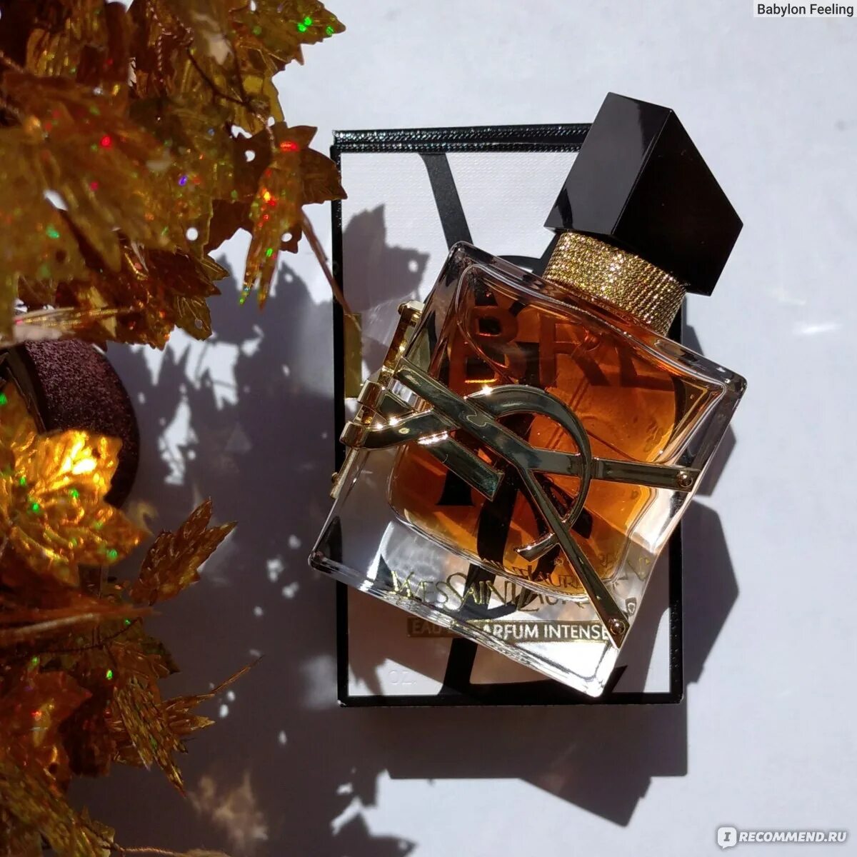Сен лоран либре интенс. Духи libre yves saint laurent. ив сен лоран либре интенс. ysl libre intense. сен лоран либре духи.