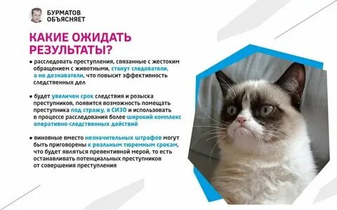 Издевательство над животными статья