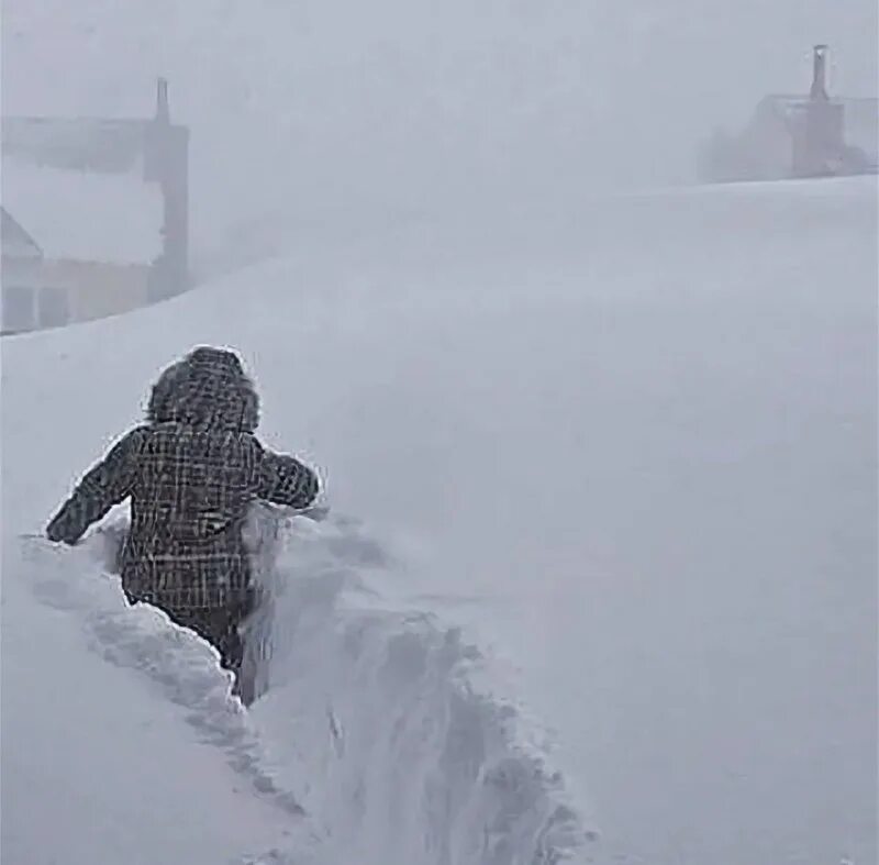 на работу через сугробы. на работу через сугробы. замерзшая девушка. сквозь сугробы. нас невозможно сбить с пути потому что мы не знаем куда идем.