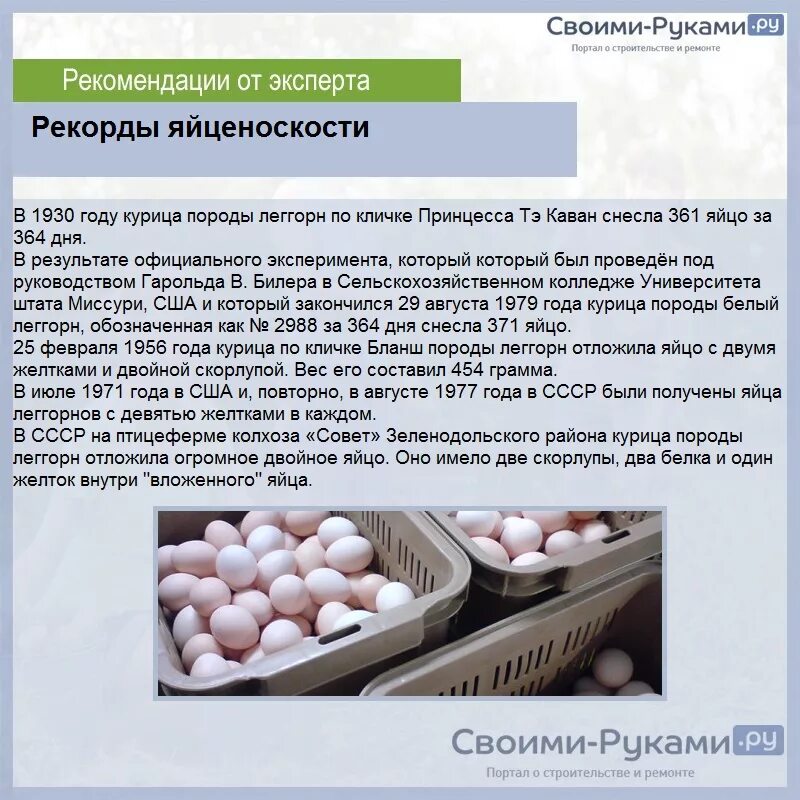 Несушки сколько яиц в день. Куры яичный яичная продуктивность. Препарат для увеличения яйценоскости кур. Препараты для повышения яйценоскости кур несушек. Породы кур яйценоскость.