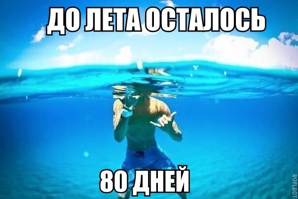 Сколько дней до лета 5 июня. До лета осталось. До лета осталось 80 дней. До лета осталось два дня. До лета остался 1 день.