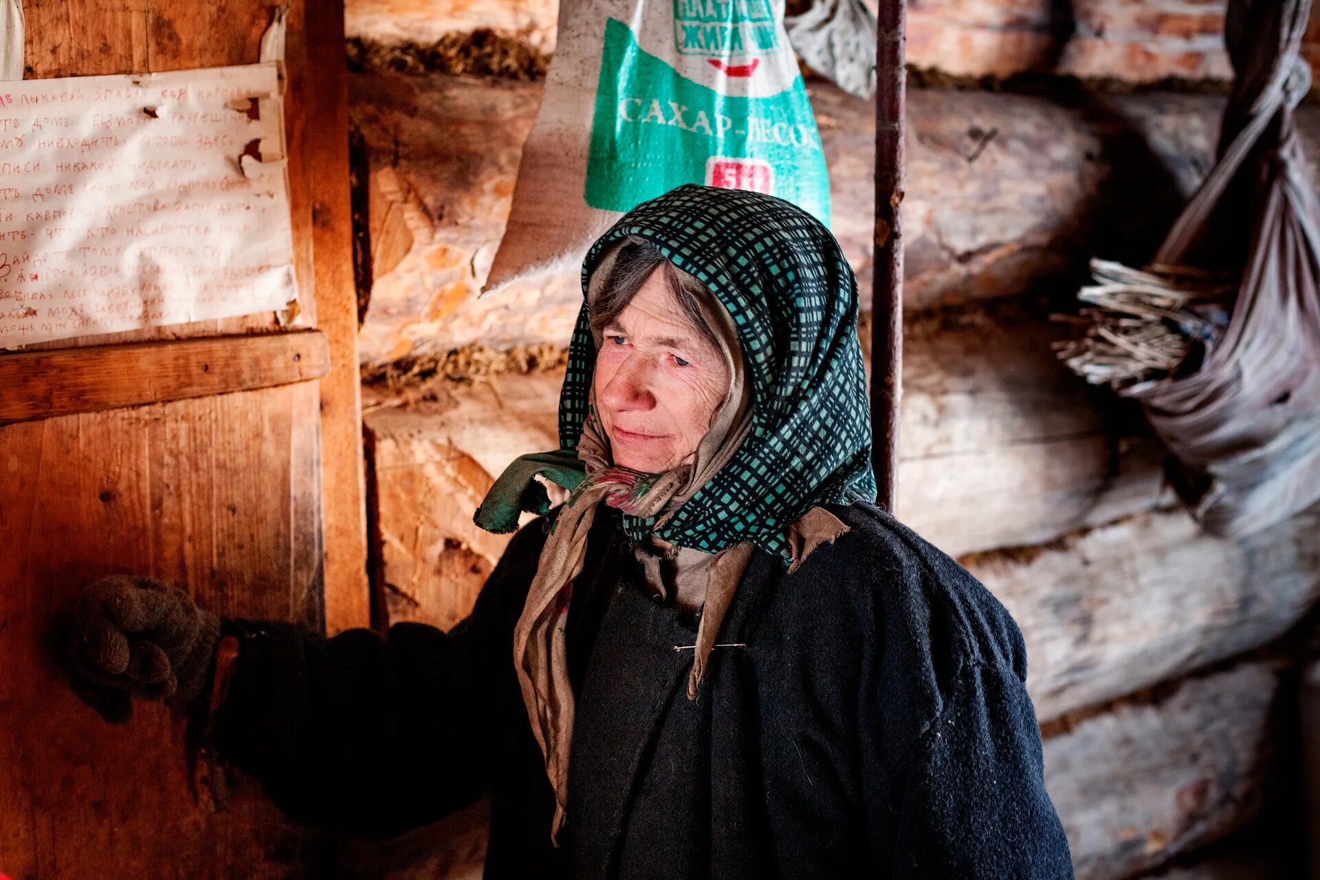 Живет в тайге лыкова