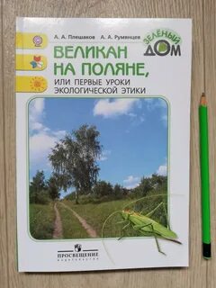 Окружающий мир 4 класс великан на поляне