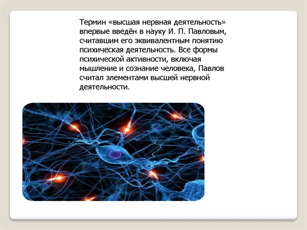 Высшая нервная деятельность человека презентация