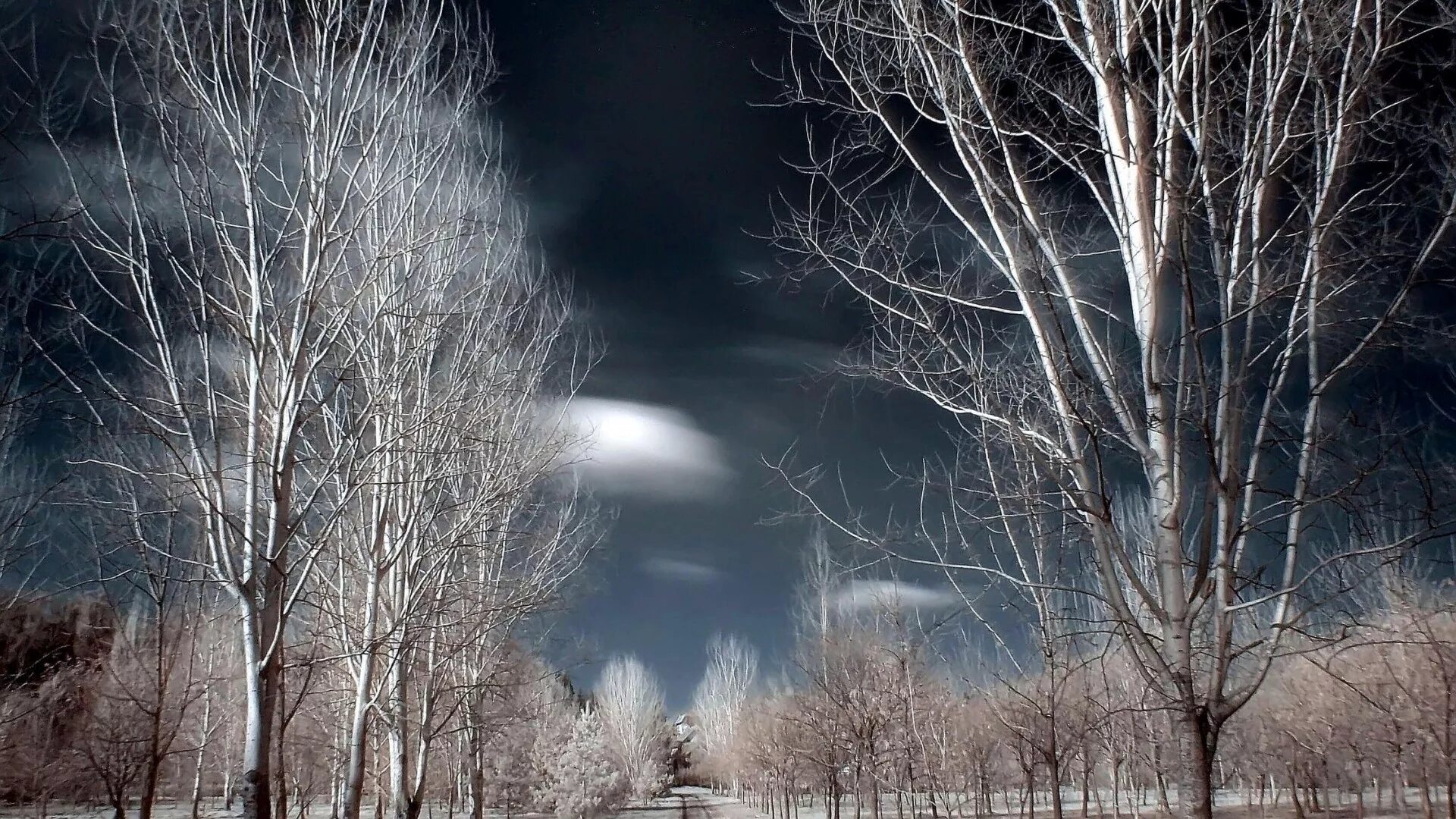 Природа вечер. Песня время без забот тихо опустилось за горизонт. Лес в тумане. Месяц опускался за лесом. Майская ночь картина фет.