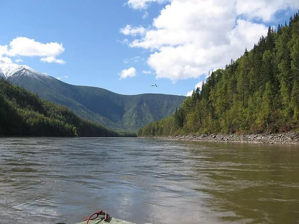 Река брат. Сплав по реке обь. братья у реки фото.
