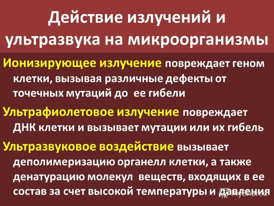 Механизм действия на бактерии ультрафиолетовых лучей. Влияние ионизирующего излучения на микроорганизмы. Влияние ионизирующего излучения на бактерии. Влияние ультрафиолетовых лучей на микроорганизмы.