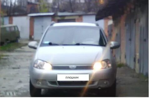 Дальний калина 1