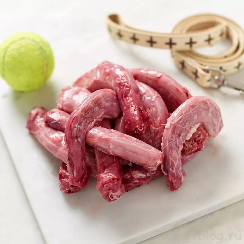 Можно ли щенку куриные шеи