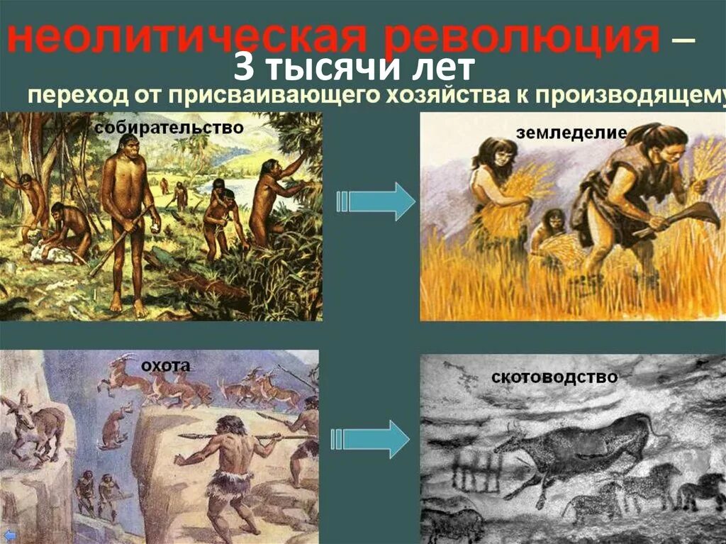 Виды присваивающего хозяйства. Присваевуещие хозяйства. Присвающие хозяйства у первобытного человека. Присваевуещие хозяйства. Производящее хозяйтвоэто.