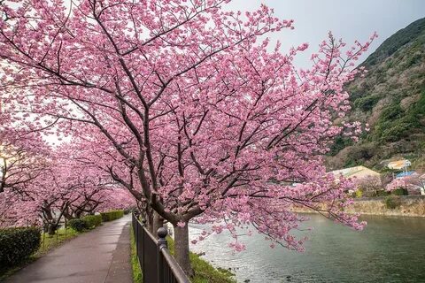 Кеңседегі дәретханадағы жасырын камера
