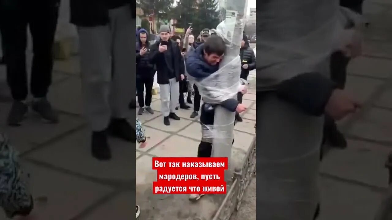 Видео мародеров в курской. Видео мародеров в курской