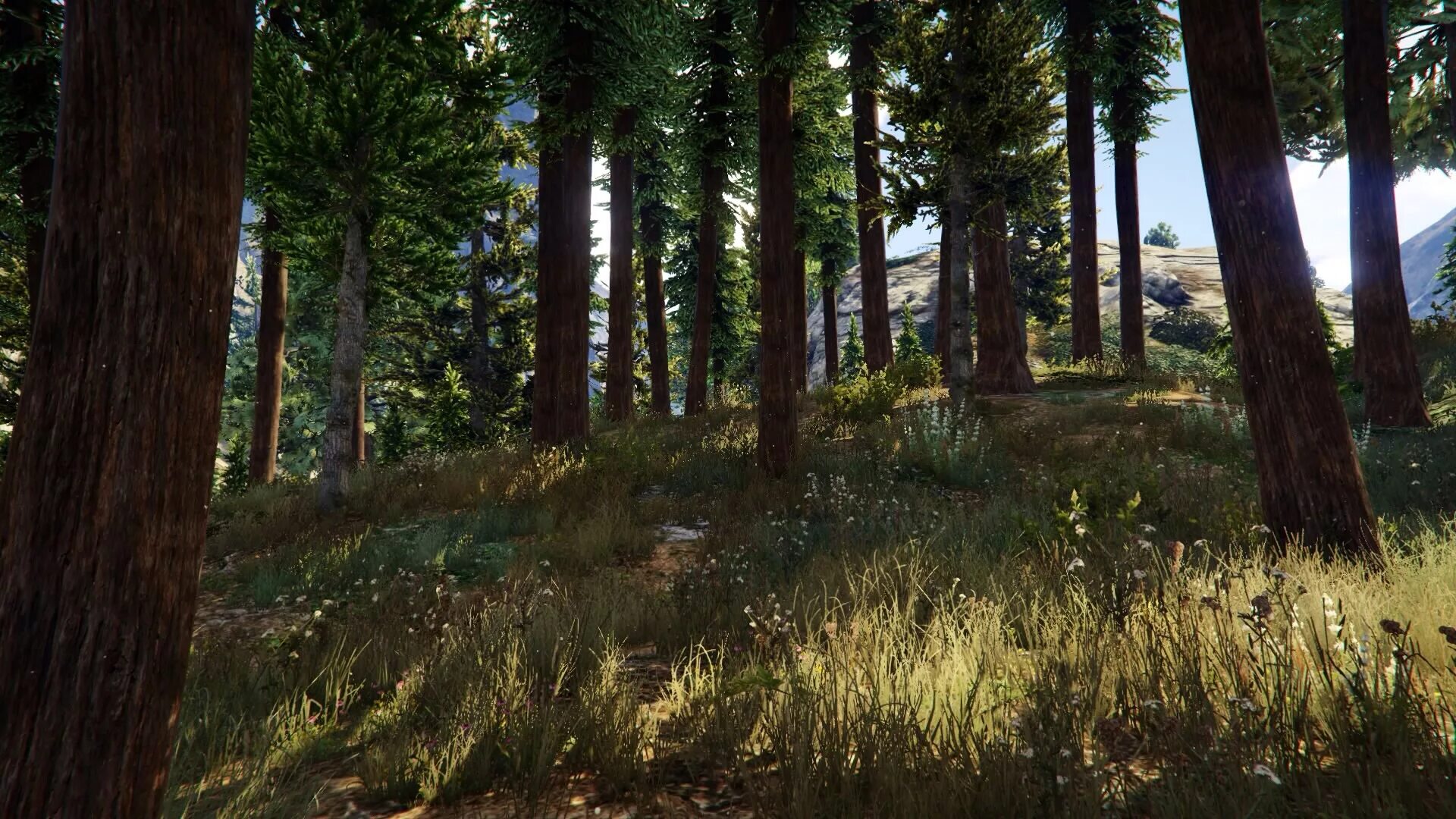 Rust grass
