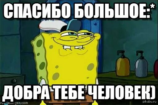 Тысяча благодарностей. Спасибо Мем. Спасибо спасибо Мем. Мемы благодарности. Спасибо картинки мемы.