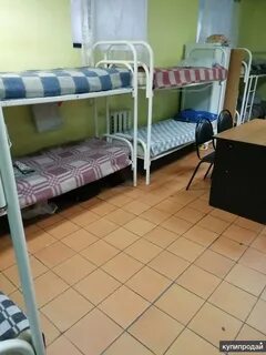 Авито снять общежитие