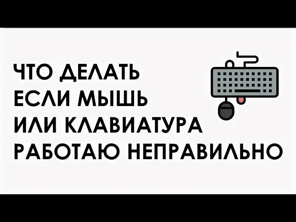 Что делать если мышь. Что делать если мышь