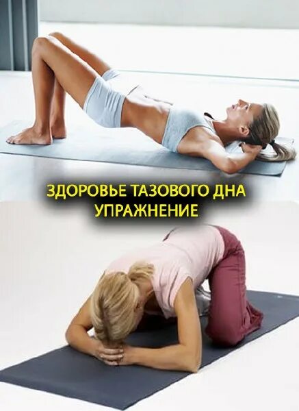 Укрепление мышц тазового дна фото. Тренировка мышц тазового дна. Упражнения для тренировки тазового дна. Упражнения для укрепления тазового дна. Упражнения для мышц тазового дна для женщин.