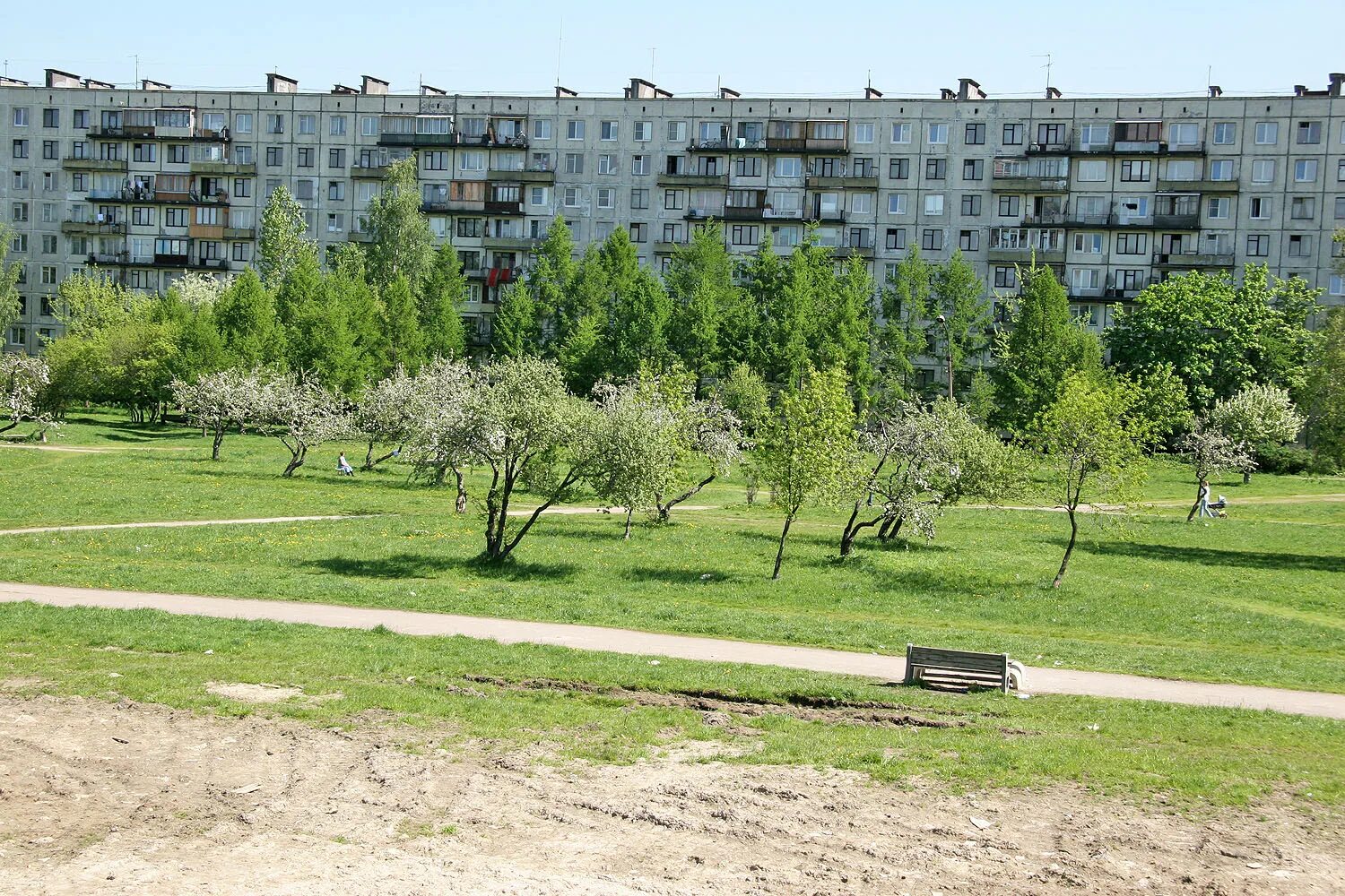 Яблоневый сад восточная ул 29 фото Музей "Ясная Поляна"