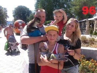 Сокольские сплетни вологодская область город сокол. Сокольские сплетни барахолка. Сокольские сплетни г сокол. Сокольский сплетни дубликат. Сокольские сплетни г сокол вологодская обл.