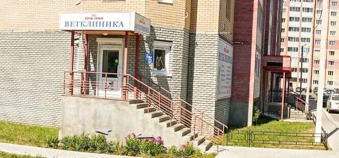 Карла маркса 220 сыктывкар на карте. Ул карла маркса 220 сыктывкар. Ветеринарная клиника сыктывкар орбита. Ветклиника эжва слободская. Ветеринарная эжва.