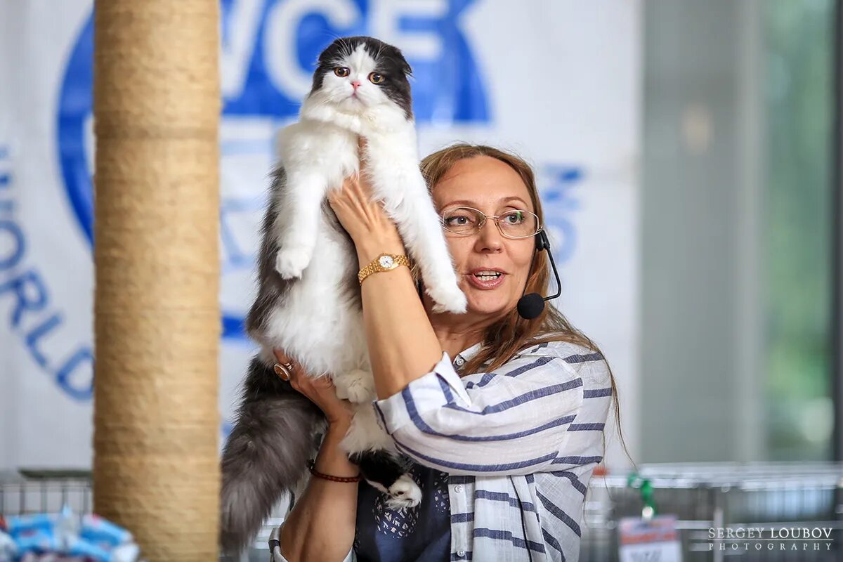 Всемирная выставка кошек. Выставка кошек коск россия екатеринбург. Международная выставка кошек. Кошачья выставка. Кошка екб.