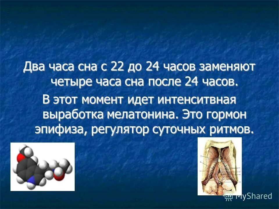 Анемия симптомы у женщин. Урчание в желудке. Зуб мудрости растет снизу. Мемы про погоду в питере. Что это такое когда.