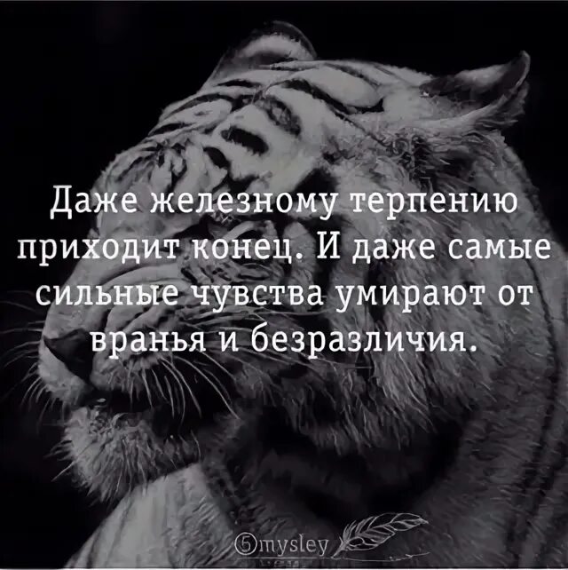 Песня пришел конец. Каждому терпению приходит конец. И железному терпению приходит конец. Даже железному терпению. Моему терпению пришел конец.