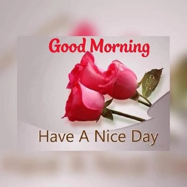 Стикер have a nice day. Good morning have a nice day. Открытка have a nice day. Nice day перевод на русский язык. Открытка have a nice day.