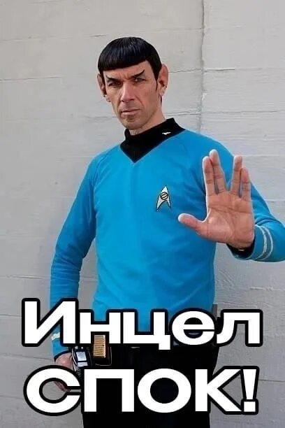 Мемы с двача. Принудительное воздержание. Что такое инцел. Что такое инцел. Что такое инцел.