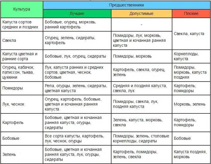 Что посадить после кабачков на следующий. После чеснока что можно посадить на грядки на следующий год. после чего сажать морковь на следующий год. после чего садить морковь на следующий год таблица. можно сажать чеснок после моркови.