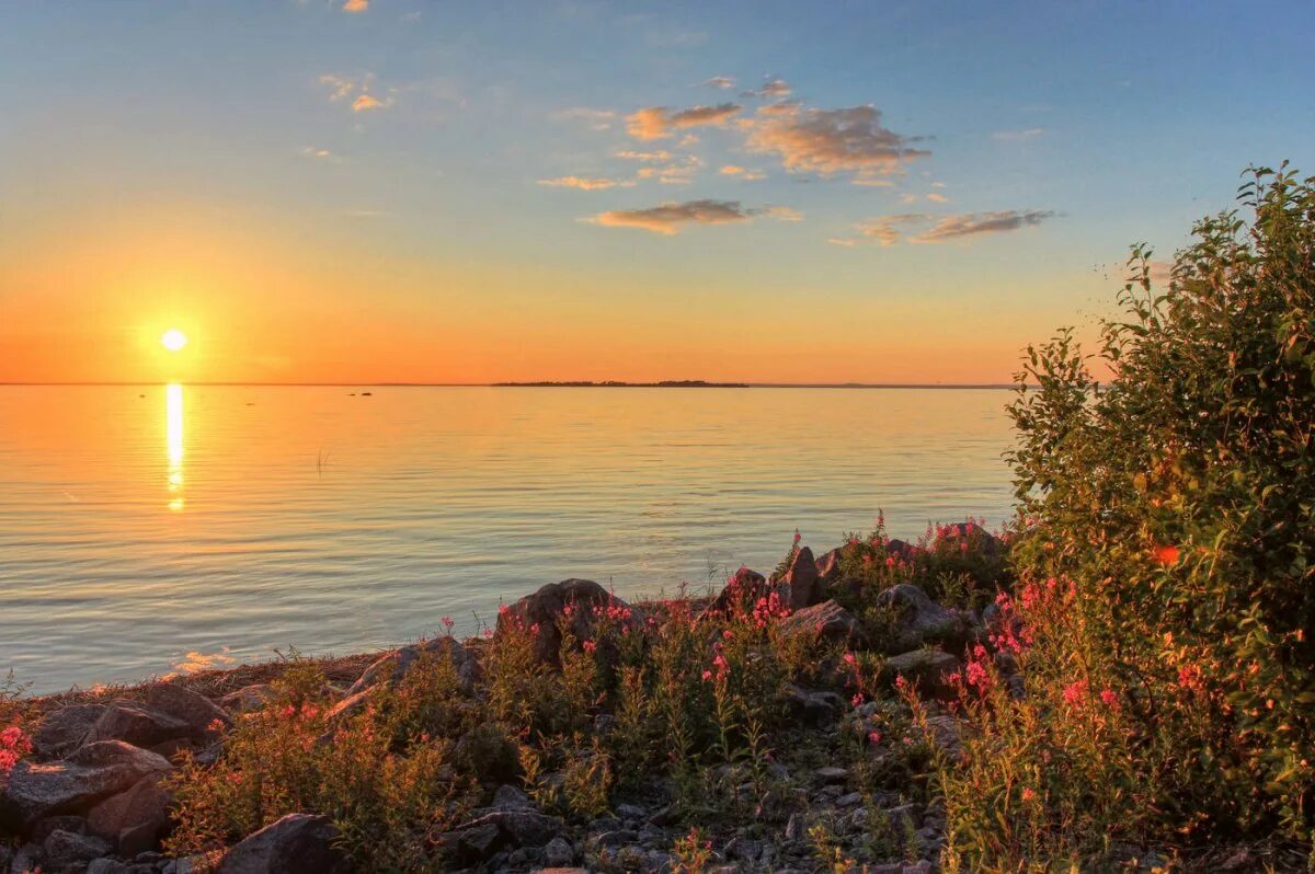 Осень на берегу моря. Зеленогорск финский залив. финский залив зеленогорск осень. репино берег финского залива осенью. берег балтийского моря финский залив.