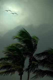 Waving winds