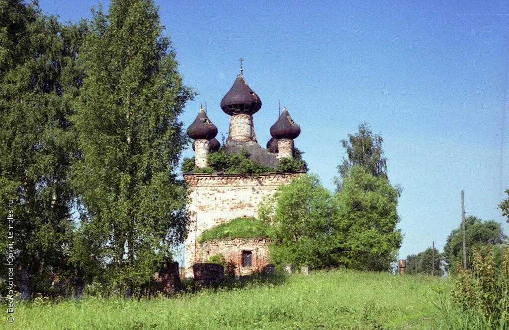 Кувакино Ярославская область храм. Село Кувакино Некрасовский район Ярославская область. Село Кувакино Ярославская область храм Архангела Михаила. Село Петропавловское Некрасовский район Ярославской области.