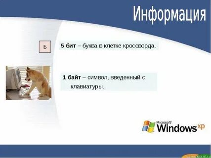 Бит буква