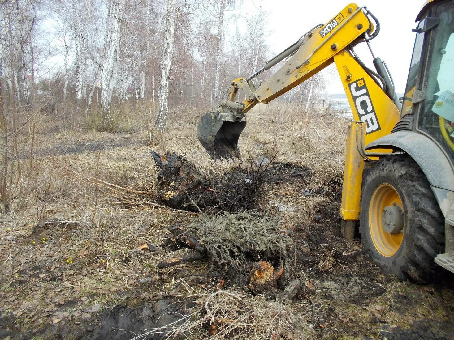 Экскаватор-погрузчик JCB 3cx выкорчевывание пней. Выкорчевывание пней экскаватором. Корчевание экскаватор JCB. Корчевание пней экскаватором.