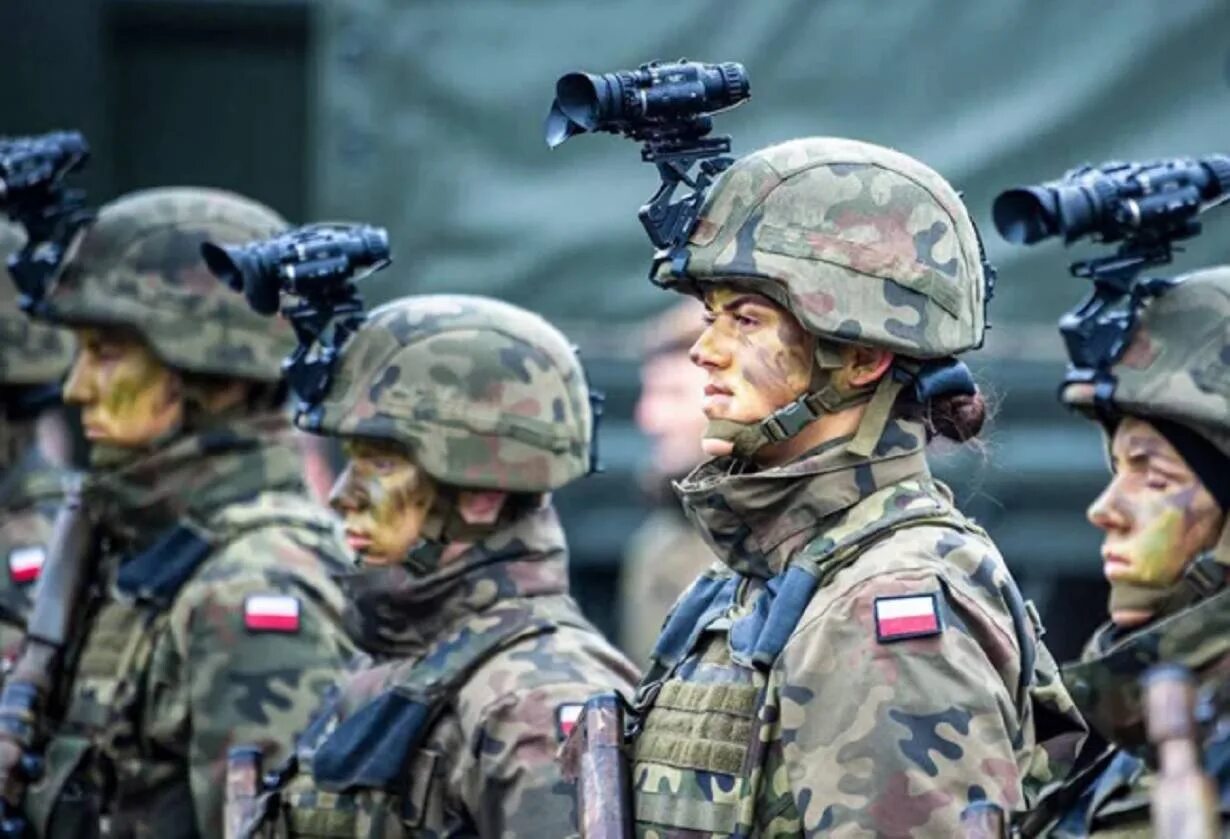 300 тысяч нато в польше. Польская армия НАТО. Вооружение армии Польши 2020. Форма польской армии 2020. Солдат армии Польши.