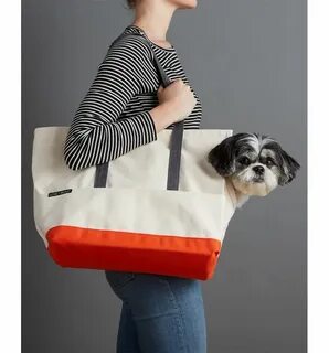 Doggybag