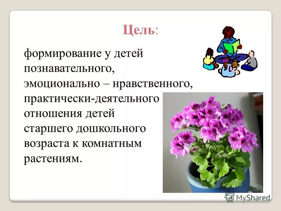 Тема недели комнатные растения в старшей. Комнатные растения для дошкольников. Проект комнатные растения в старшей. Комнатные растения задачи. Проект в детском саду комнатные растения.