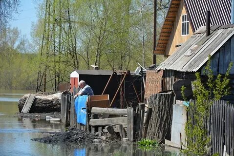 Погода зятькова речка алтайский