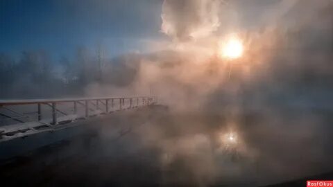Fog отзывы