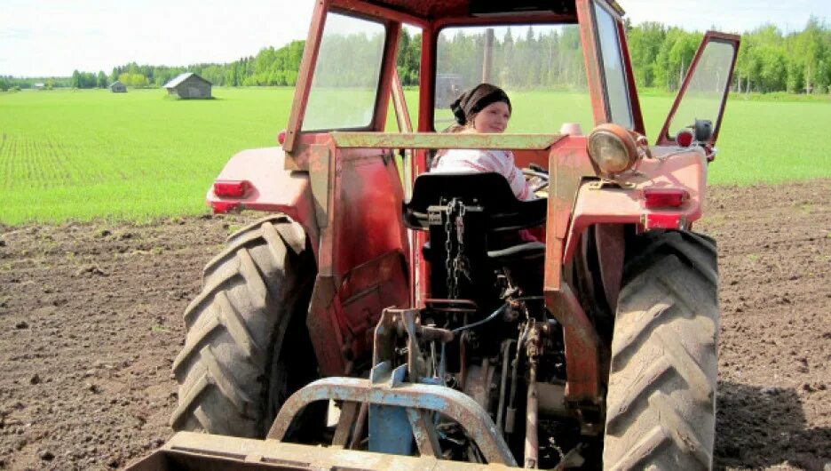 Трактористка текст. Тракторист. Трактор в поле. Девушка на тракторе. Водитель трактора.