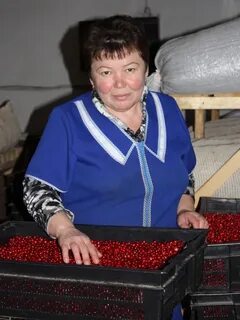 Вакансии тоншаево