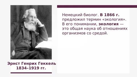 Немецкий биолог э геккель писал в 1904