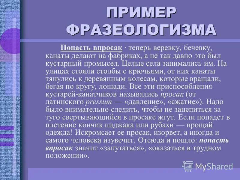 Попасть впросак ситуация употребления фразеологизма. Впросак фразеологизм. Попасть впросак значение фразеологизма. Фразеологизм попасть впросак. История выражения попасть впросак.