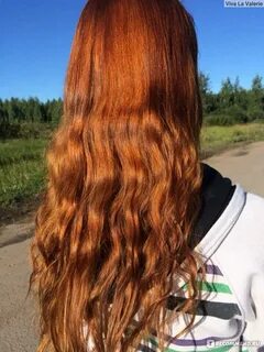 Хна на русые волосы