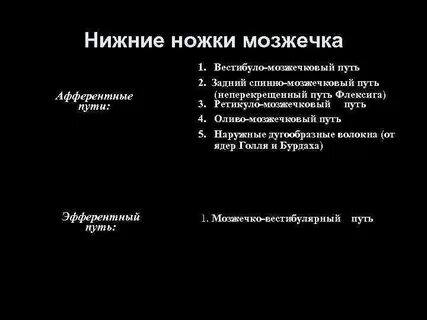 Нижняя мозжечковая ножка
