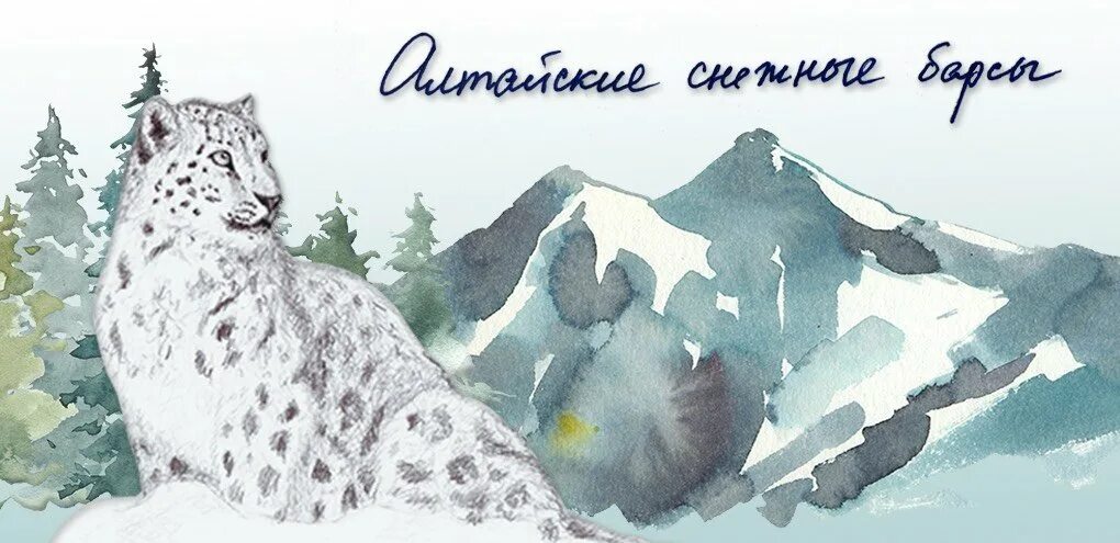 Ирбис движение первых