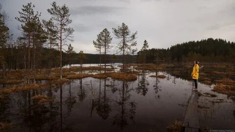 Озеро колот