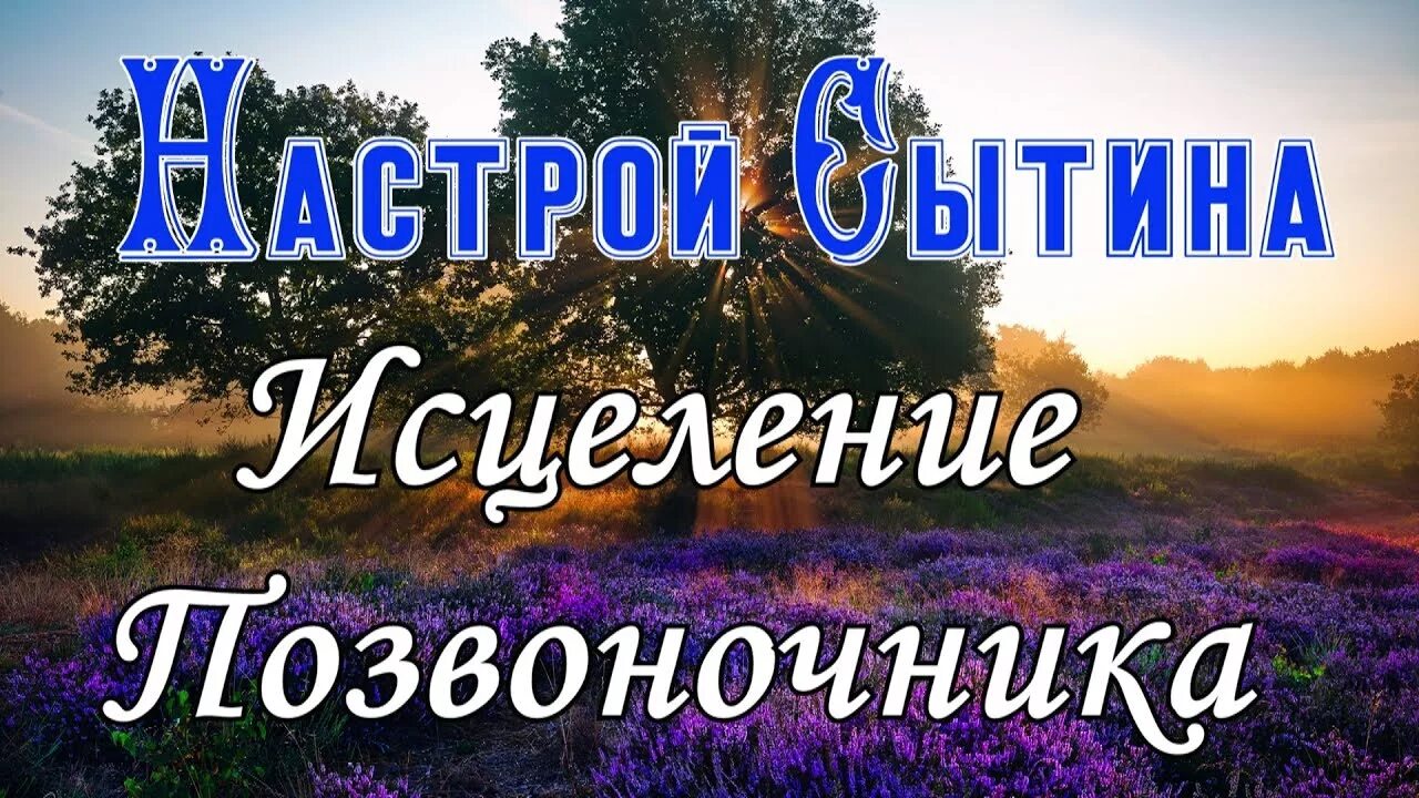 Сытин исцеление и. Настрой Сытина на оздоровление позвоночника и. Настрои Сытина на исцеление спины. Сытин аффирмации. Сытин оздоровление позвоночника и суставов.