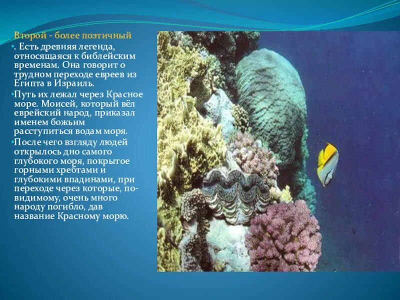Описание красного моря 6 класс